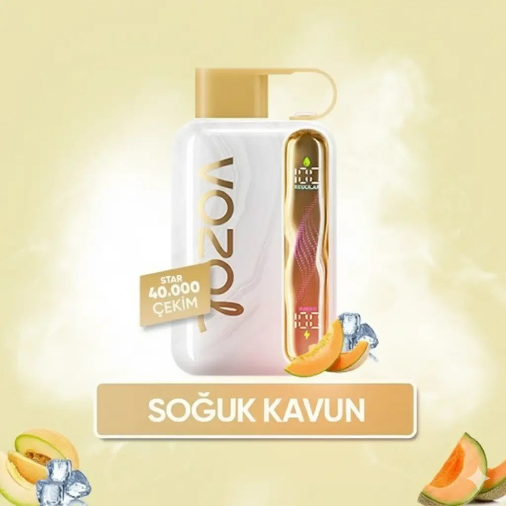 Vozol 40000 Puff - Melon Ice - Star