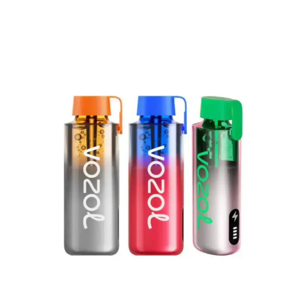Vozol 12000 Neon Pro Çeşitleri