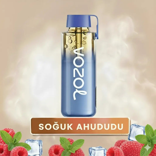 Vozol 12000 Puff - Blue Razz Ice - Neon Pro