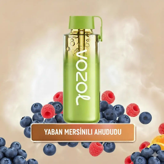 Vozol 12000 Puff - Blueberry Sour Raspberry - Neon Pro
