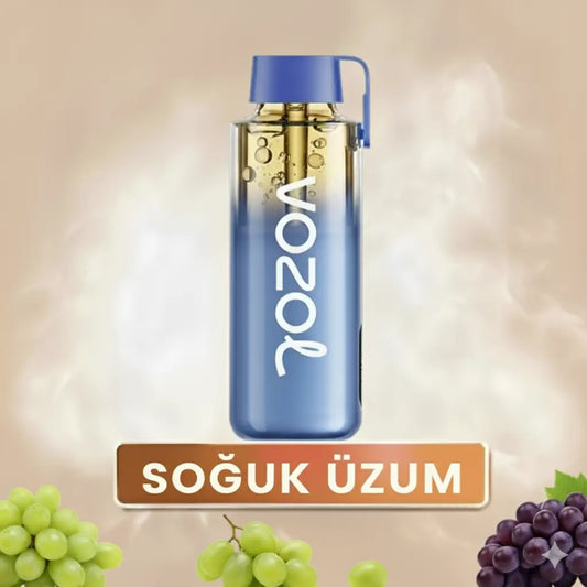 Vozol 12000 Puff - Grape Ice - Neon Pro