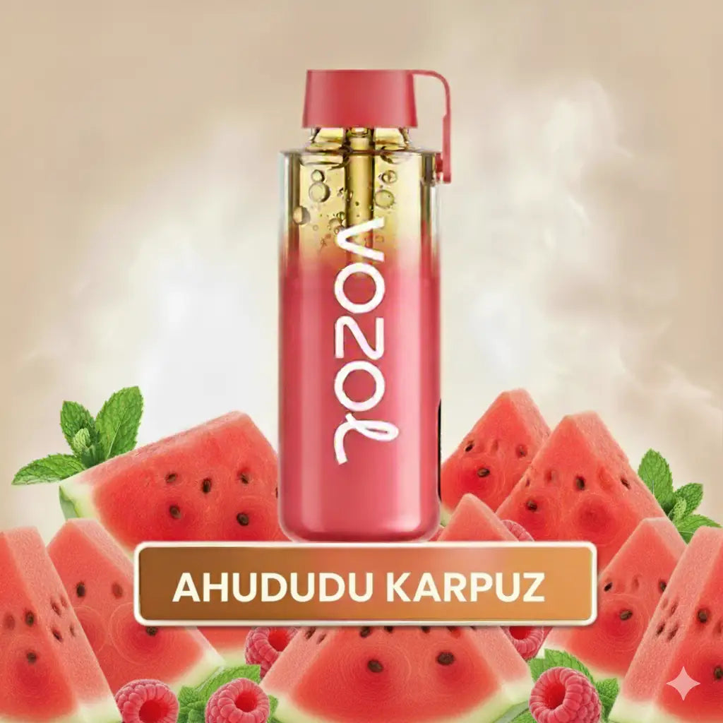 Vozol 12000 Puff - Raspberry Watermelon - Neon Pro