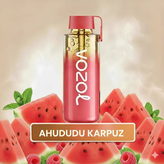 Vozol 12000 Puff - Raspberry Watermelon - Neon Pro