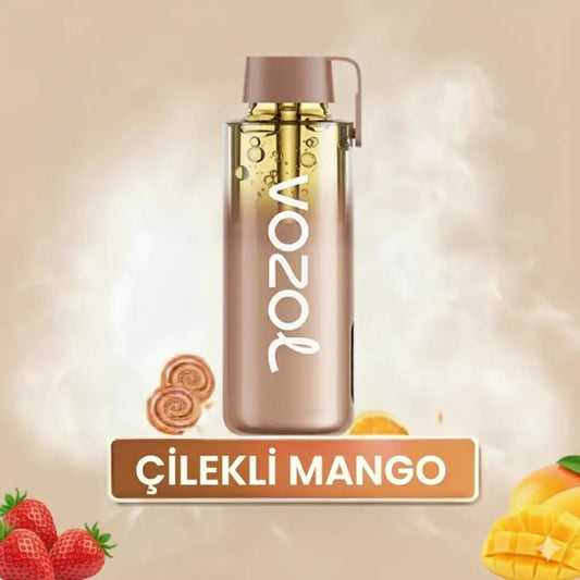 Vozol 12000 Puff - Strawberry Mango - Neon Pro