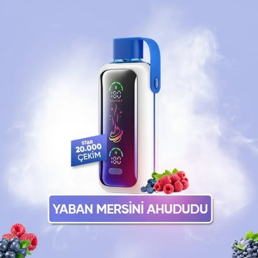Vozol 20000 Puff - Blueberry Storm - Star