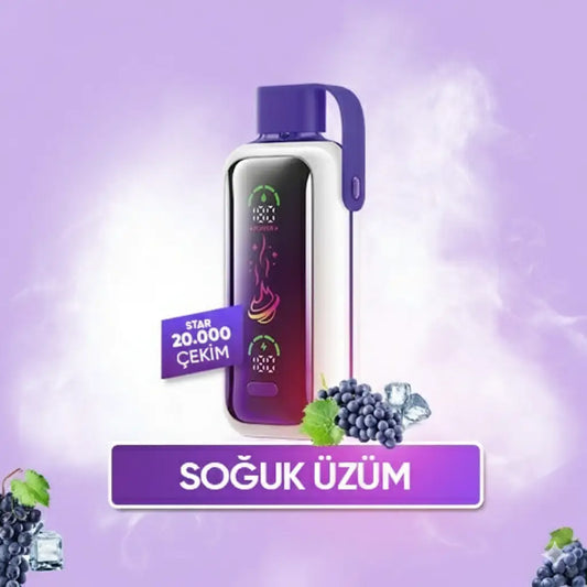 Vozol 20000 Puff - Grape Ice - Star
